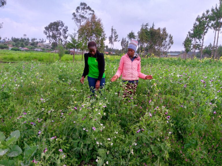 Empowering Women in Agriculture: The Young Women Aggregators Association’s Impact