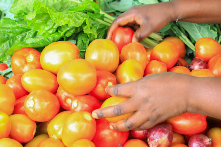 Bridging the Gap: YWAA’s Role in Empowering Rural Women in Agriculture