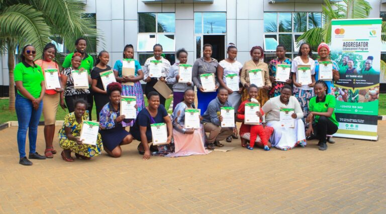 Celebrating Success: YWAA Marks Milestones in Empowering Women in Agriculture